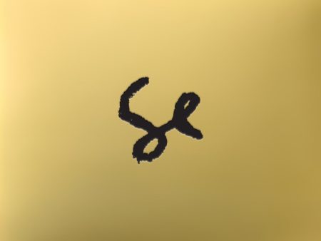 Sylvan Esso - Sylvan Esso (2LP)(Coloured) Fashion