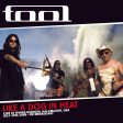 Tool - Like A Dog In Heat Online Sale