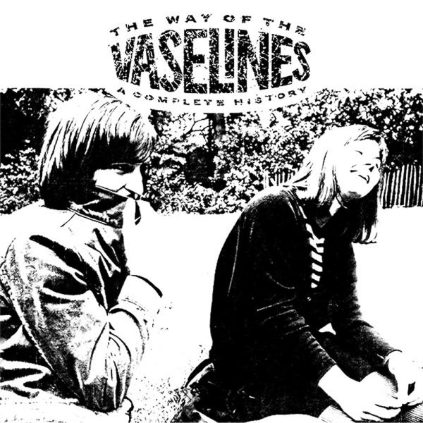 Vaselines - The Way Of The Vaselines (2LP)(Coloured) on Sale