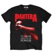 Pantera - Vulgar Display Album Hot on Sale