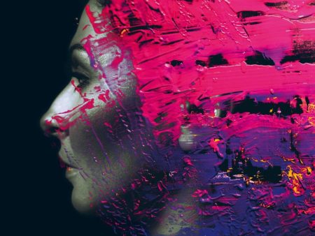 Steven Wilson - Hand Cannot Erase (2LP) Cheap