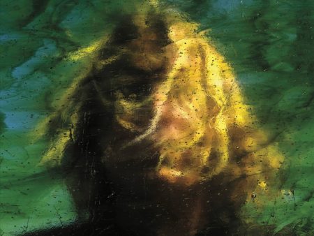 Ty Segall - Three Bells (2LP) For Cheap